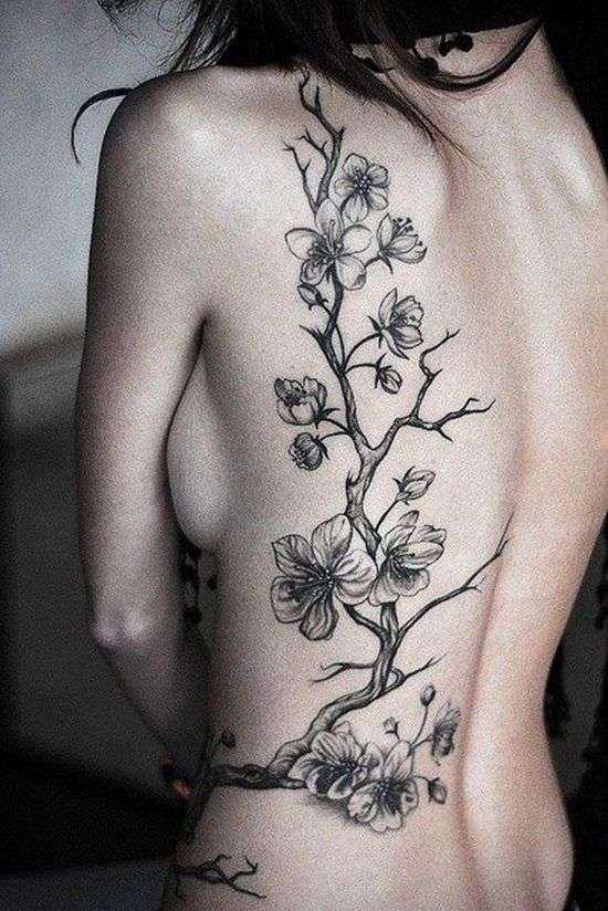 Tatuaje de flores de cerezo en blanco y negro en la espalda
