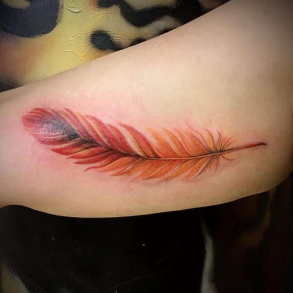 Tatuaje de pluma del Ave Fénix