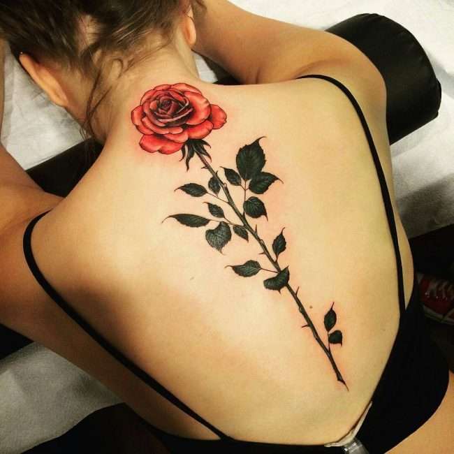 Tatuaje en la columna vertebral: rosa roja