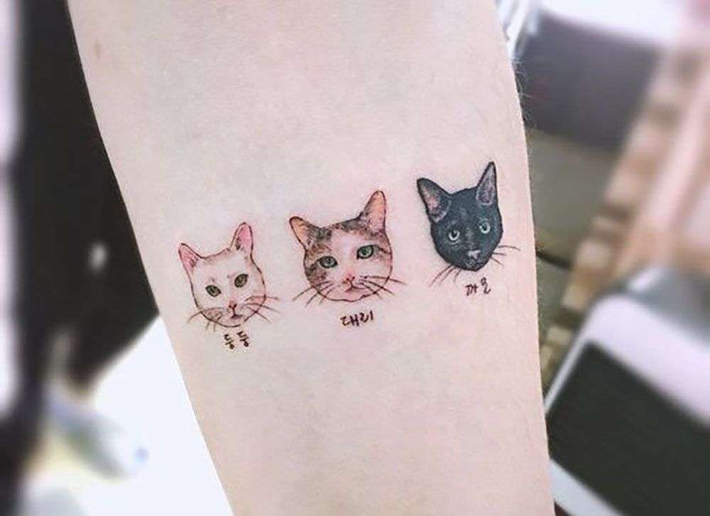 Tatuaje de tres gatos