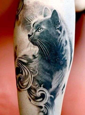 Tatuaje de gato realismo fotográfico