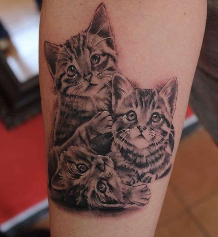 Tatuaje de tres gatitos