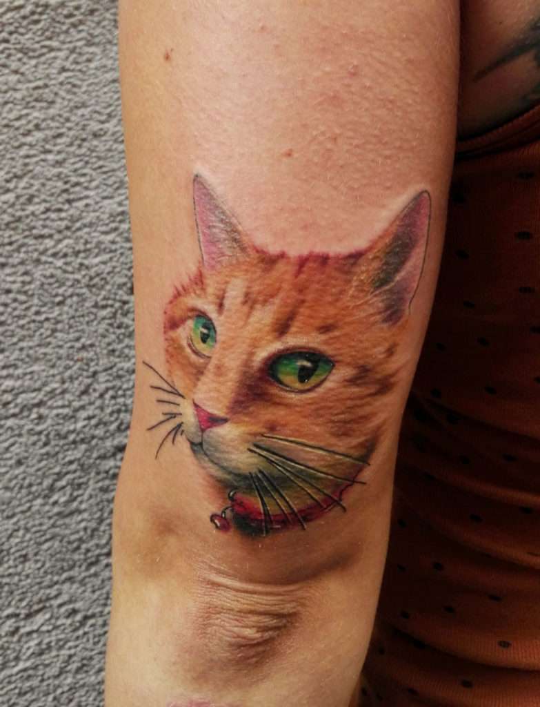 Tatuaje de gato en colores