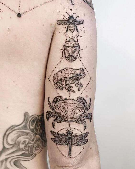 Tatuaje de animales varios