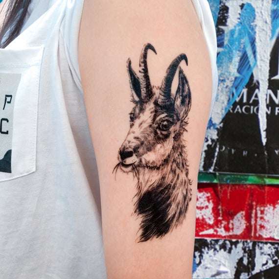 Tatuajes de animales: cabra