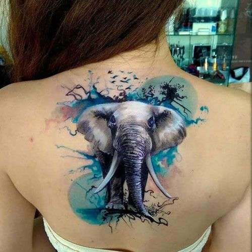Tatuaje de elefante en colores en la espalda