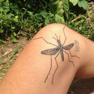 Tatuajes de animales: mosquito