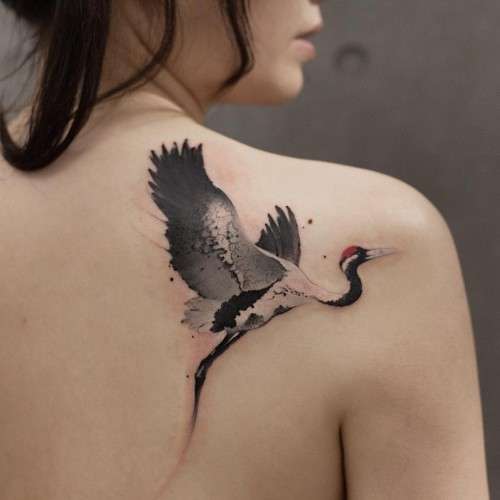 Tatuajes de animales: ave