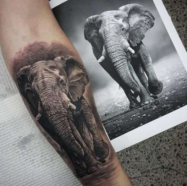 Tatuaje de elefante realismo fotográfico