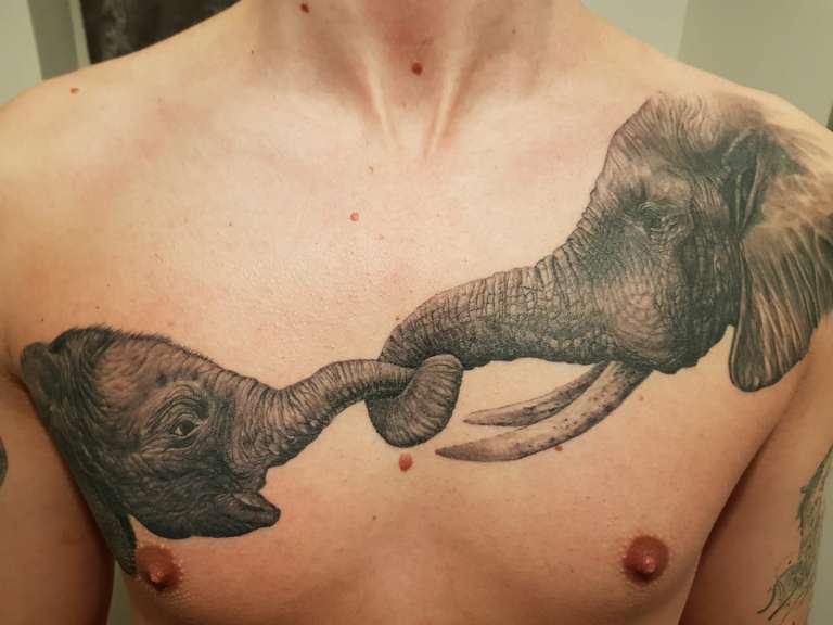Tatuajes de animales: elefantes