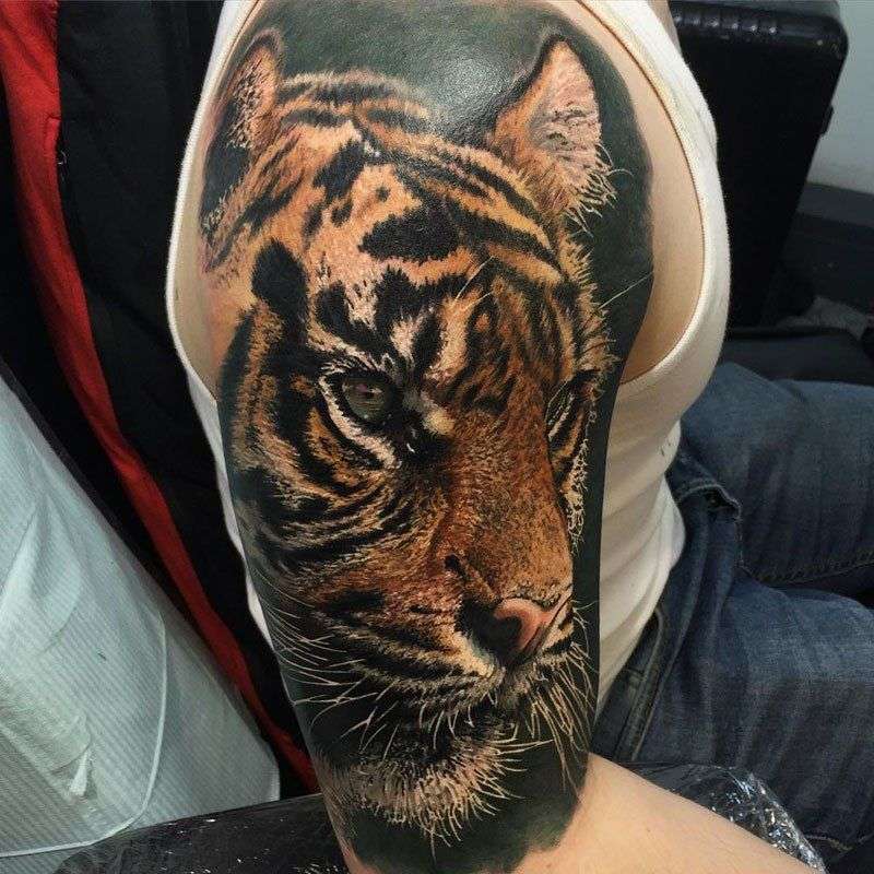 Tatuaje de tigre en estilo de realismo fotográfico