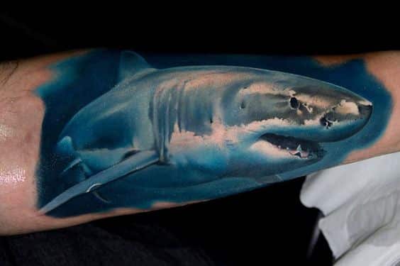 Tatuajes de animales: tiburón blanco